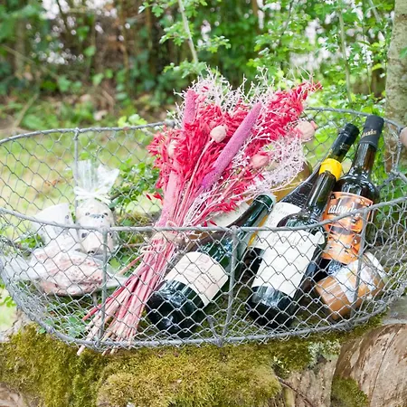 Bed and breakfast La Maison Des Tilleuls